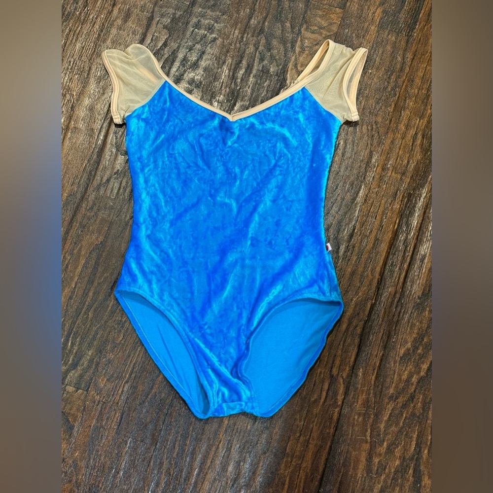 Blue and Tan Leotard